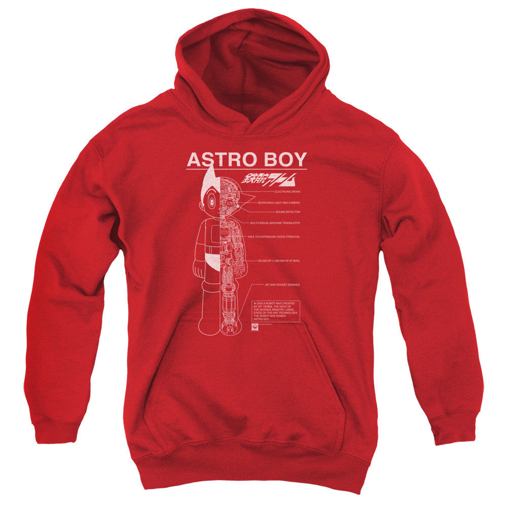 Youth Hooded Sweatshirt