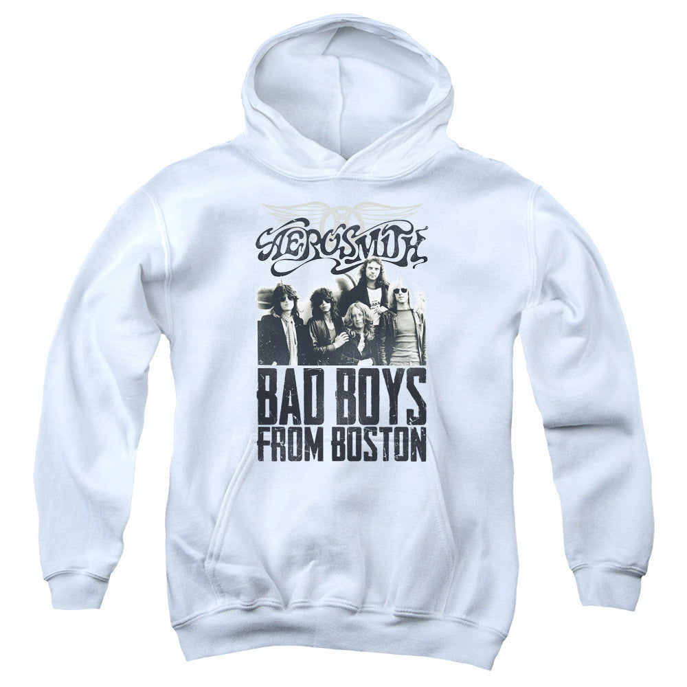 Youth Hooded Sweatshirt