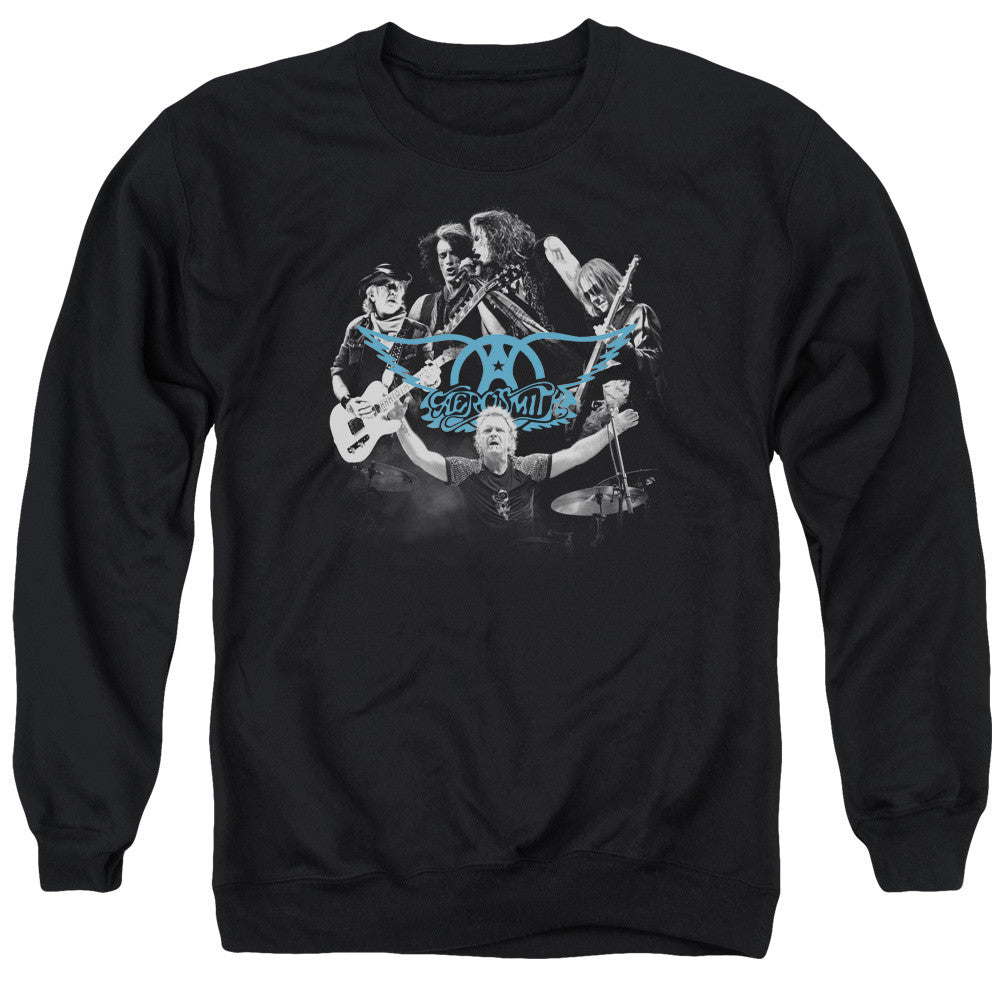 Adult Crewneck Sweatshirt