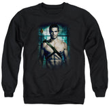 Adult Crewneck Sweatshirt