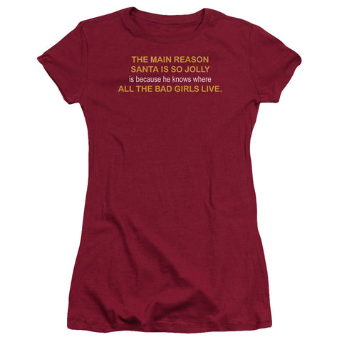 Juniors Sheer Cap Sleeve