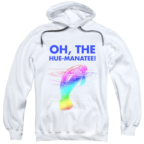 Adult Pull-Over Hoodie