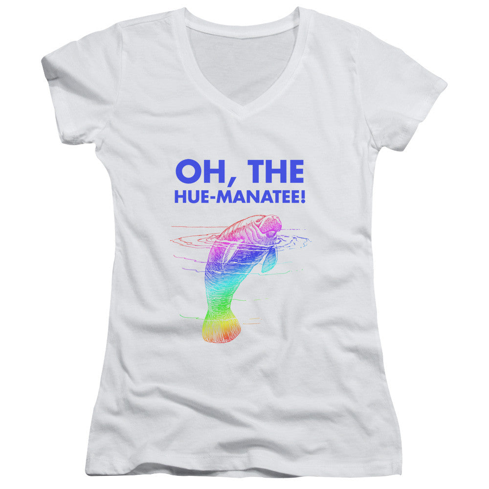 Juniors Sheer Cap Sleeve V-Neck