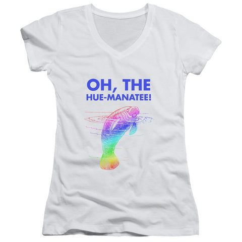 Juniors Sheer Cap Sleeve V-Neck