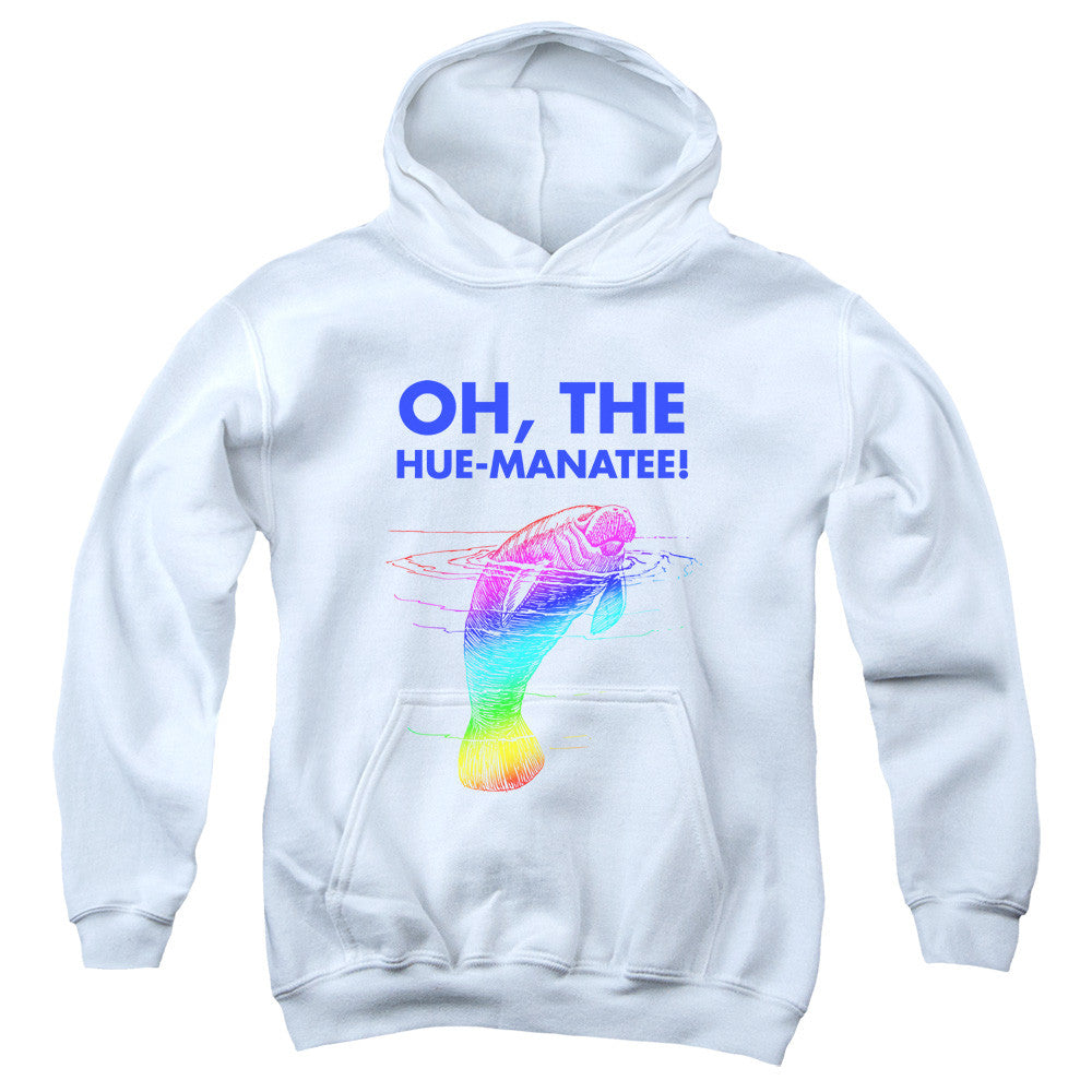 Youth Hooded Sweatshirt
