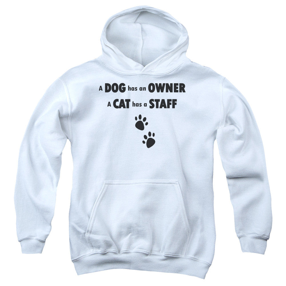 Youth Hooded Sweatshirt