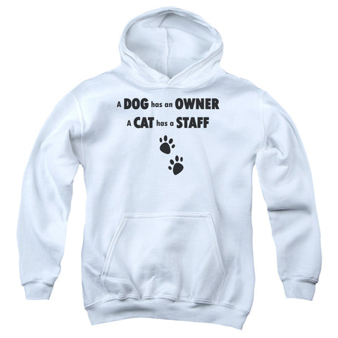 Youth Hooded Sweatshirt