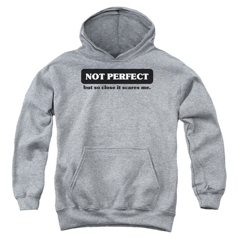 Youth Hooded Sweatshirt