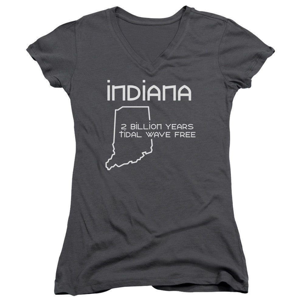 Juniors Sheer Cap Sleeve V-Neck