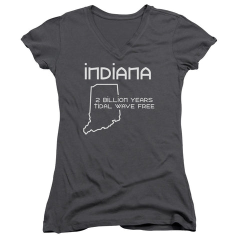 Juniors Sheer Cap Sleeve V-Neck