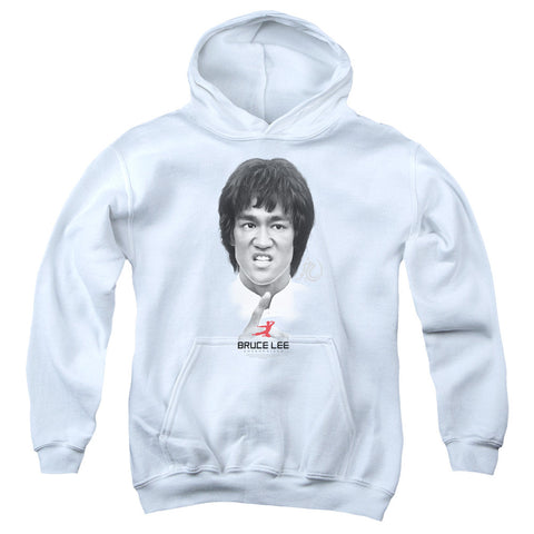 Youth Hooded Sweatshirt