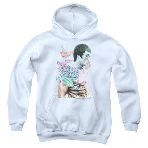 Youth Hooded Sweatshirt