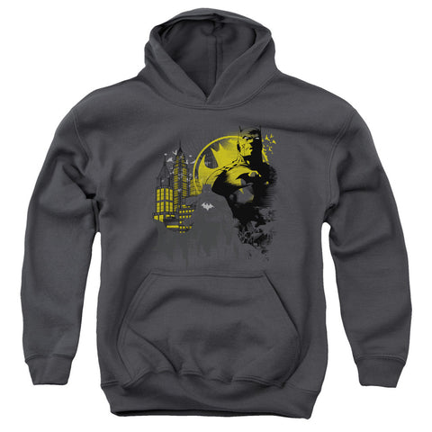 Youth Hooded Sweatshirt