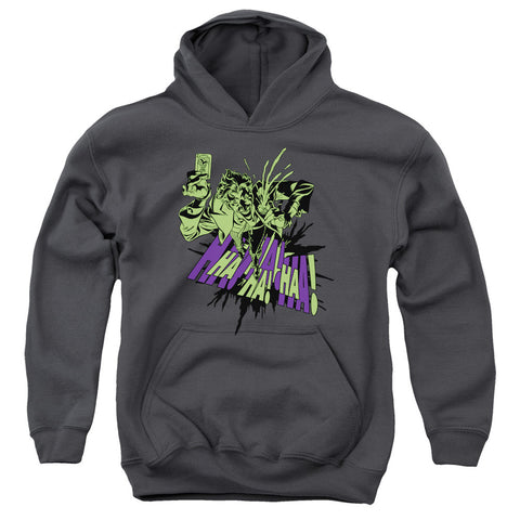 Youth Hooded Sweatshirt