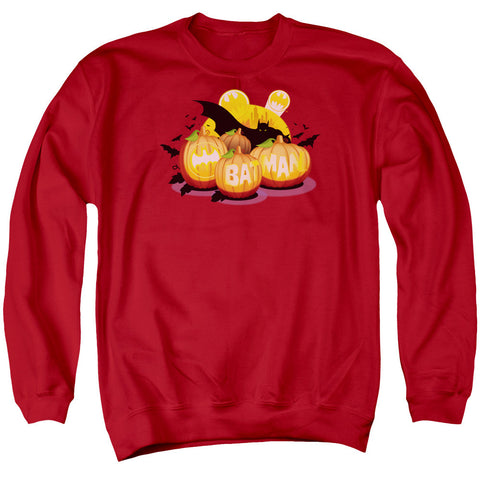 Adult Crewneck Sweatshirt