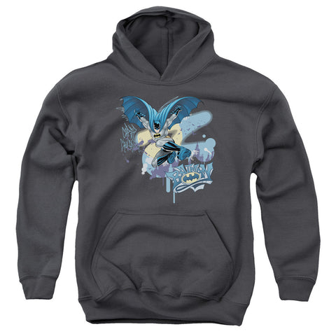 Youth Hooded Sweatshirt