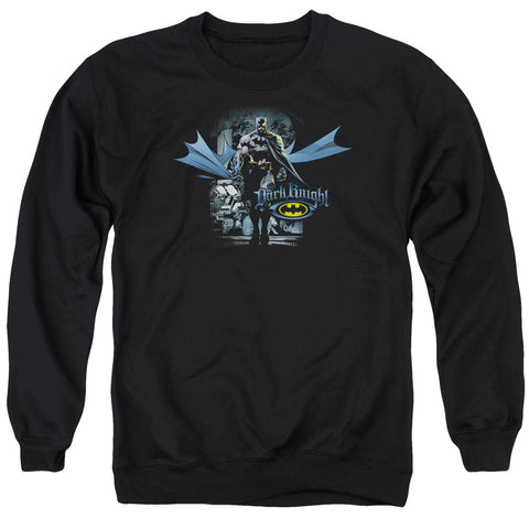 Adult Crewneck Sweatshirt