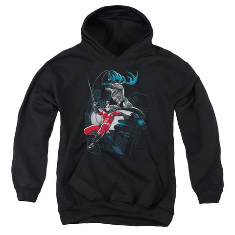 Youth Hooded Sweatshirt