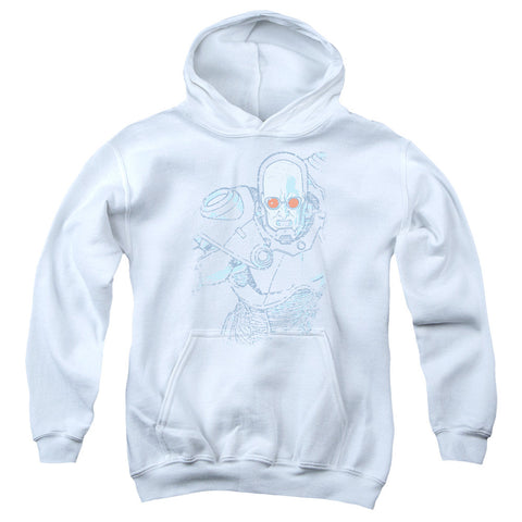 Youth Hooded Sweatshirt