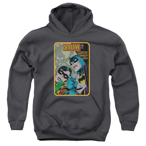 Youth Hooded Sweatshirt