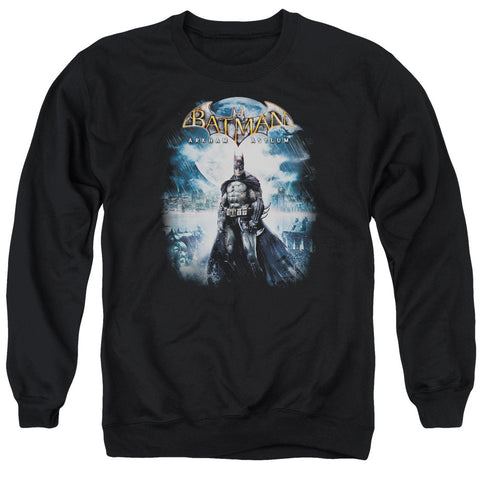 Adult Crewneck Sweatshirt