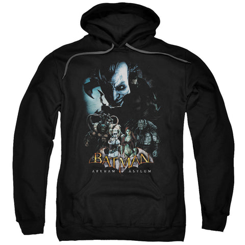 Adult Pull-Over Hoodie