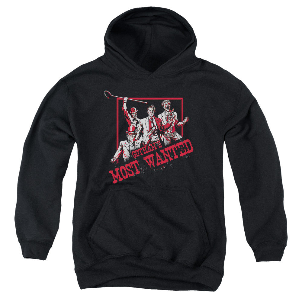 Youth Hooded Sweatshirt