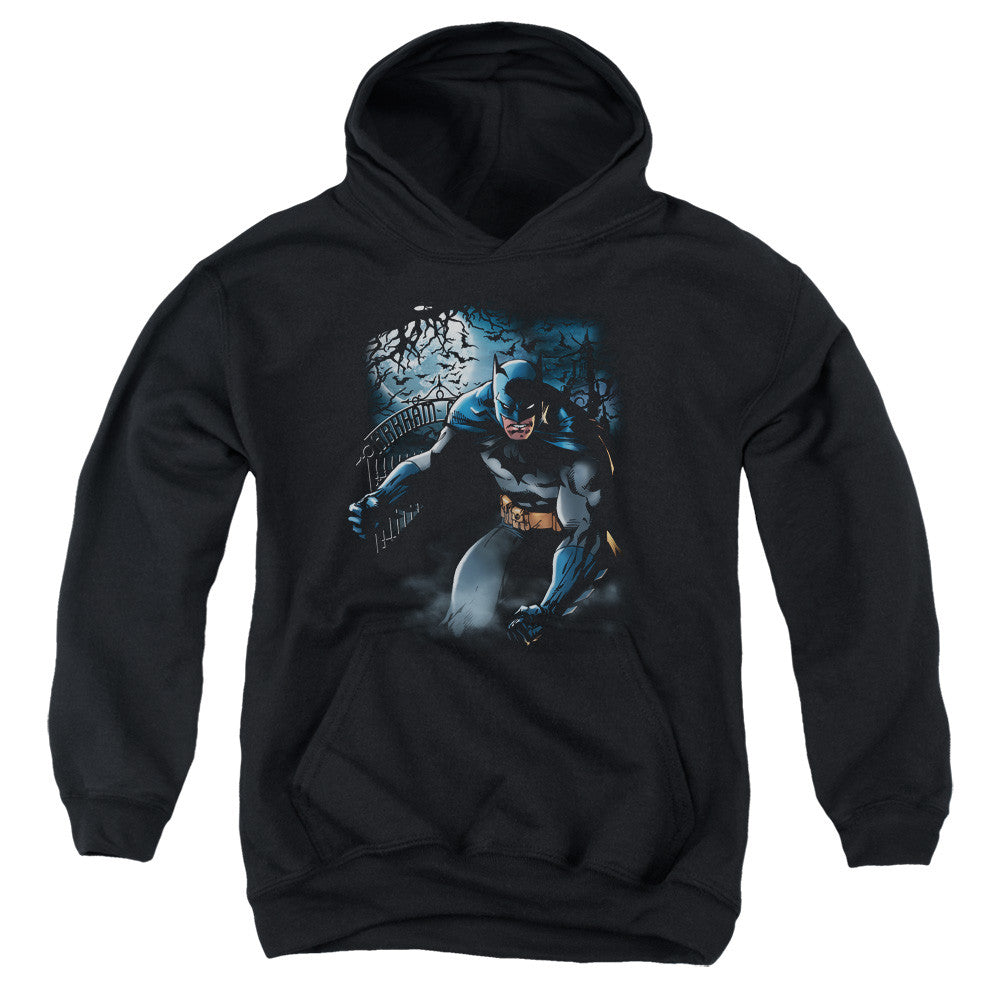 Youth Hooded Sweatshirt