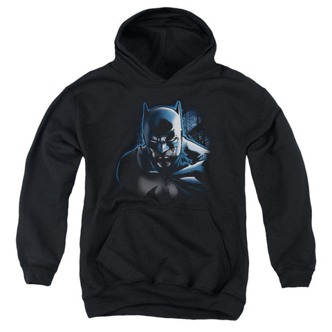 Youth Hooded Sweatshirt