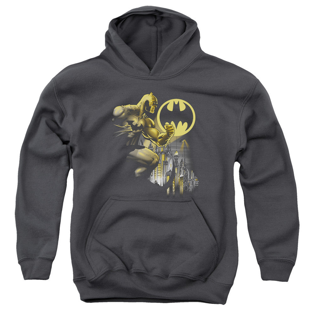 Youth Hooded Sweatshirt