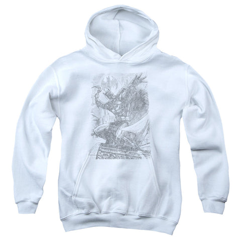 Youth Hooded Sweatshirt