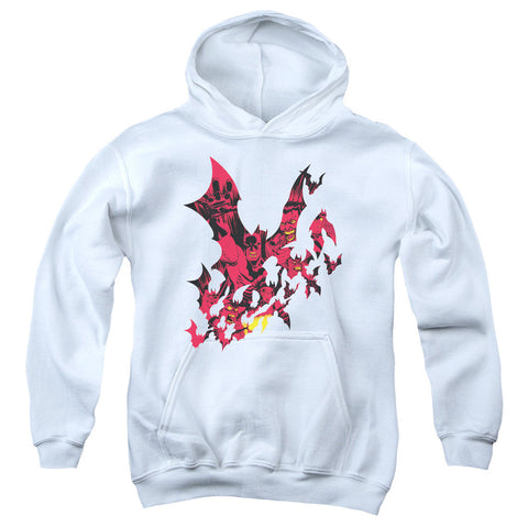 Youth Hooded Sweatshirt