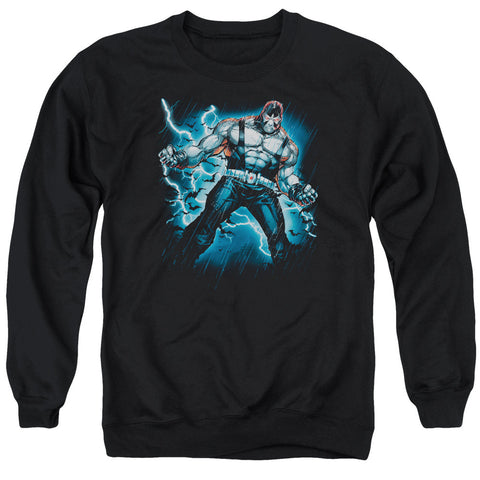 Adult Crewneck Sweatshirt