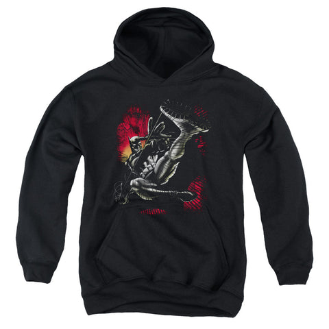 Youth Hooded Sweatshirt