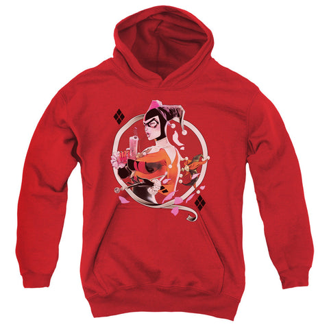 Youth Hooded Sweatshirt