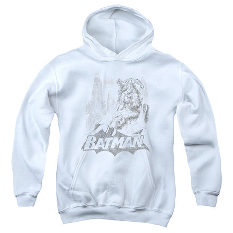 Youth Hooded Sweatshirt