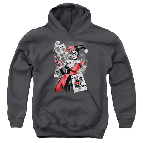 Youth Hooded Sweatshirt