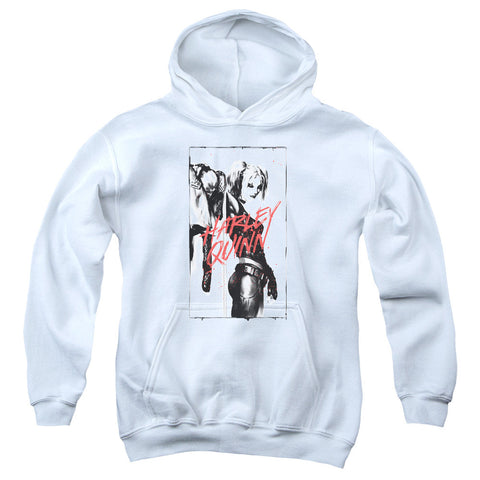 Youth Hooded Sweatshirt