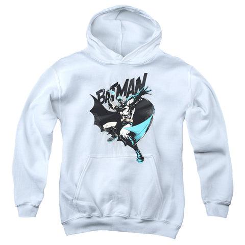 Youth Hooded Sweatshirt