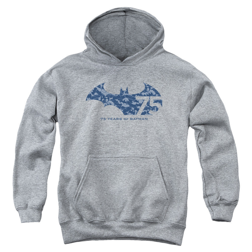 Youth Hooded Sweatshirt