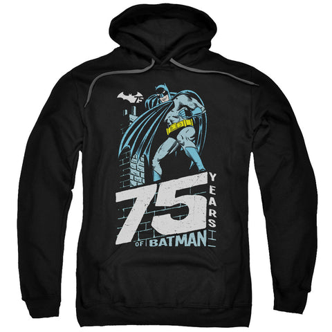 Adult Pull-Over Hoodie