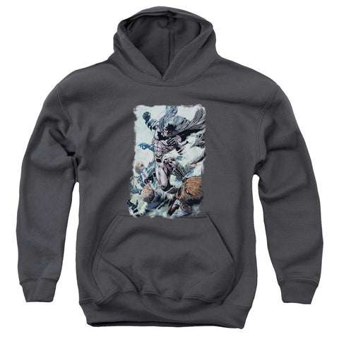 Youth Hooded Sweatshirt