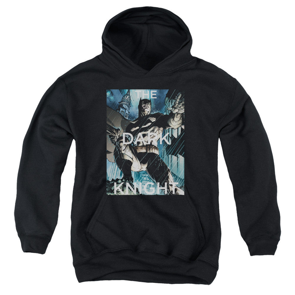 Youth Hooded Sweatshirt