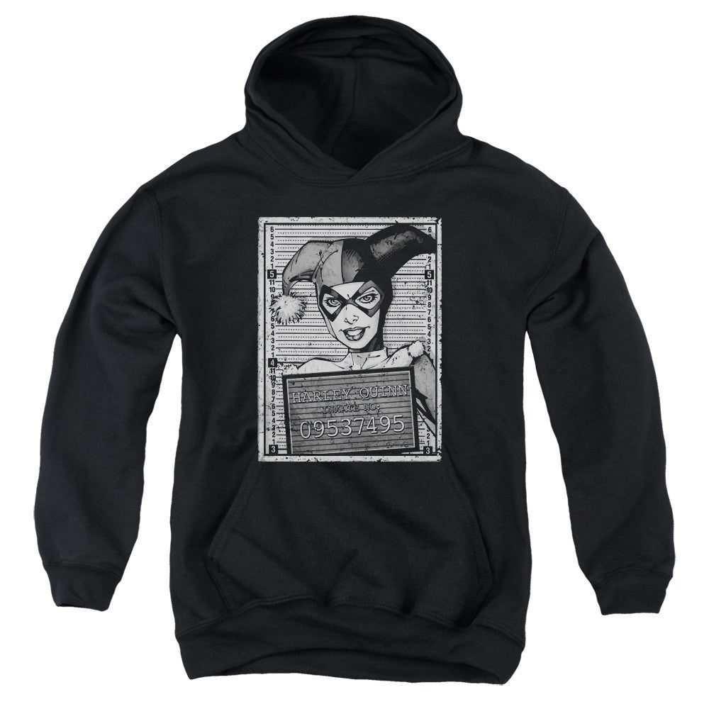 Youth Hooded Sweatshirt