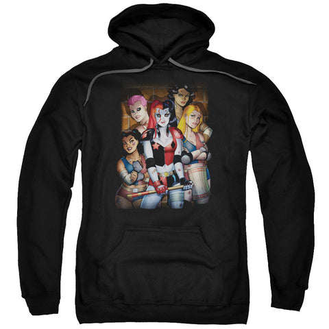 Adult Pull-Over Hoodie