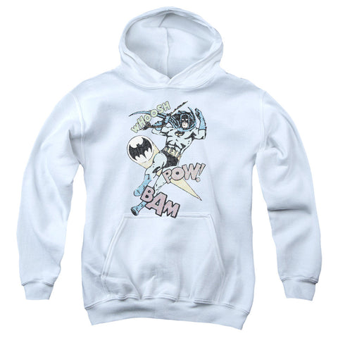 Youth Hooded Sweatshirt