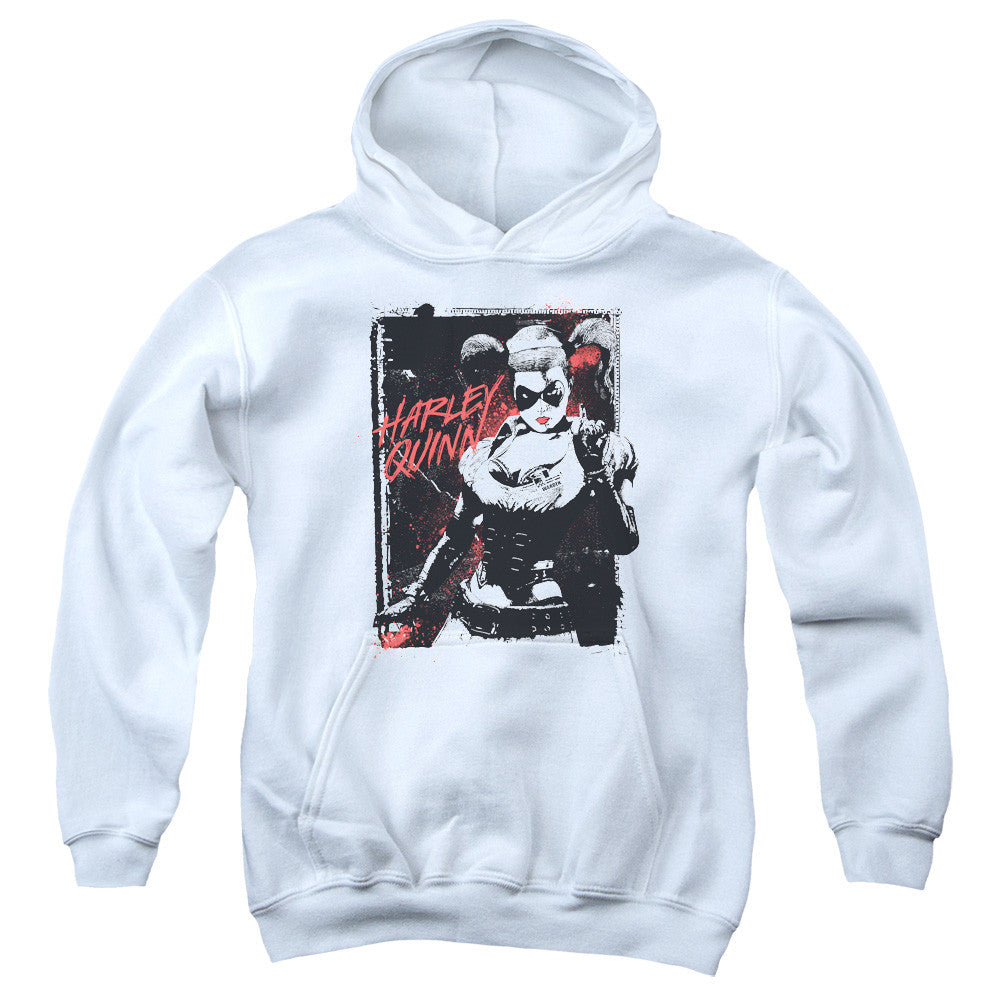 Youth Hooded Sweatshirt