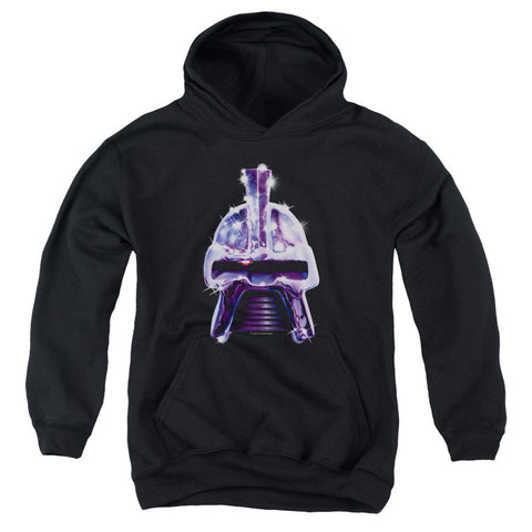 Youth Hooded Sweatshirt