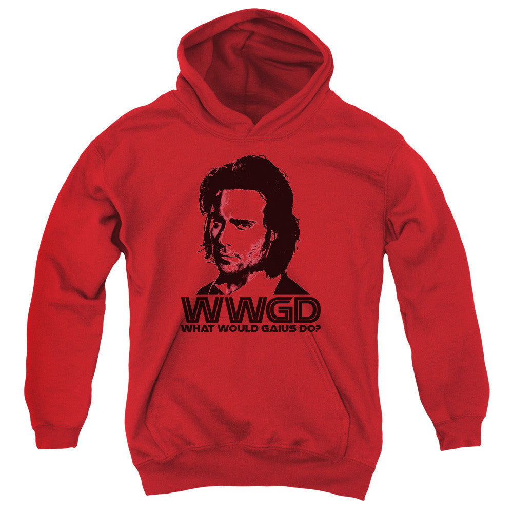 Youth Hooded Sweatshirt