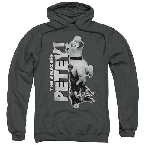 Adult Pull-Over Hoodie